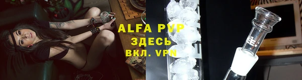 стафф Гусев