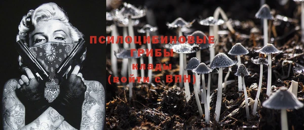 молекула духа Горняк