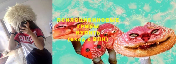 хмурый Майский