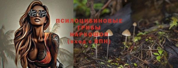 стафф Гусев