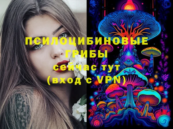 дмт Магас