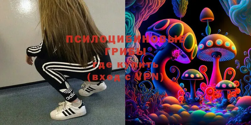 Псилоцибиновые грибы Magic Shrooms  omg ссылки  Данков 